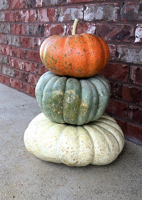 She's Crafty Halloween and Fall front porch decor